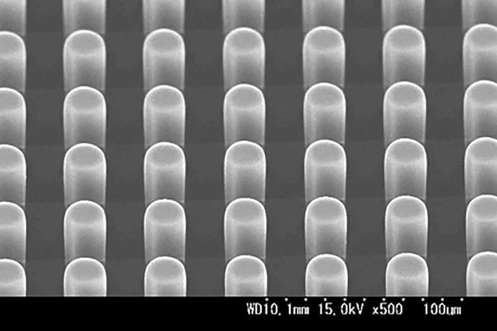 PDMSパターン ピラー形状 φ20μｍ　40μｍピッチ　高さ50μｍ