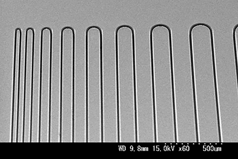 PDMSパターン 累積蛇行流路 L/S ： 20μｍ/20～410μｍ　高さ50μｍ